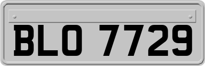 BLO7729