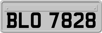 BLO7828