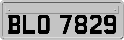 BLO7829