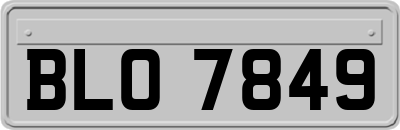 BLO7849