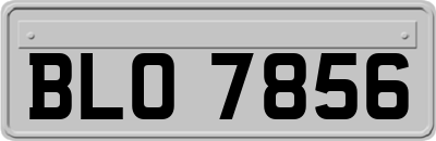 BLO7856