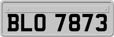 BLO7873