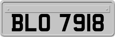 BLO7918