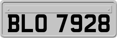 BLO7928