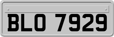 BLO7929