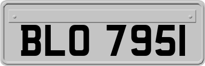 BLO7951