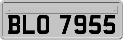 BLO7955