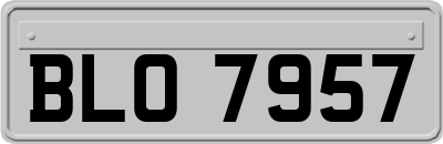 BLO7957