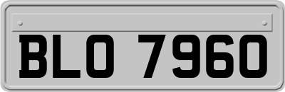 BLO7960
