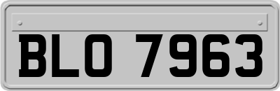 BLO7963