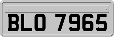 BLO7965