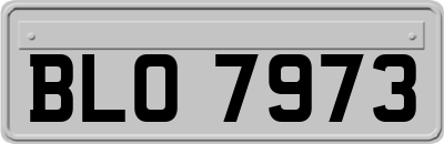 BLO7973