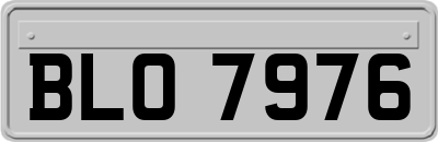BLO7976