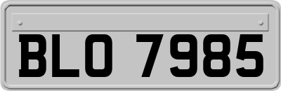 BLO7985