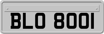 BLO8001