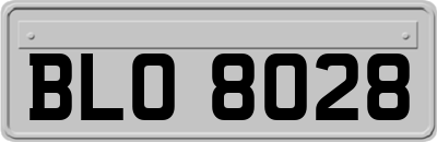 BLO8028