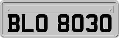 BLO8030