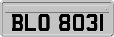 BLO8031