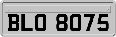 BLO8075