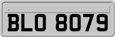 BLO8079