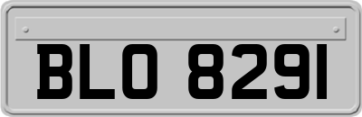 BLO8291