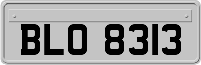 BLO8313