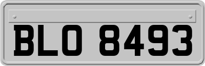 BLO8493