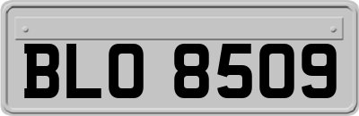 BLO8509