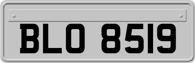 BLO8519