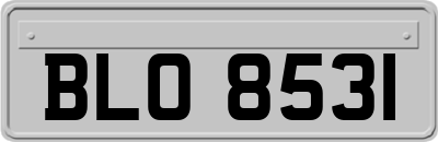 BLO8531