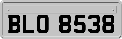 BLO8538