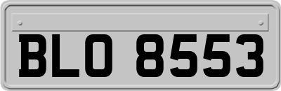 BLO8553