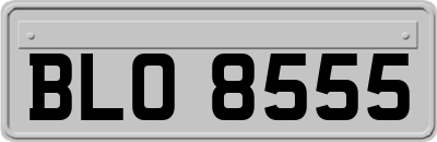 BLO8555