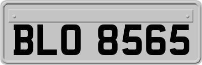 BLO8565