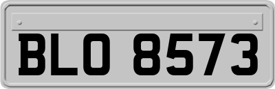 BLO8573