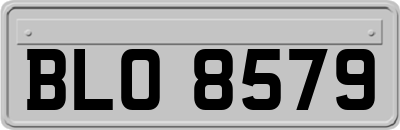 BLO8579
