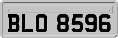 BLO8596