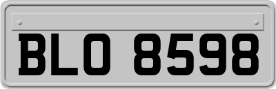 BLO8598