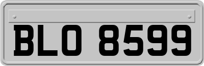 BLO8599