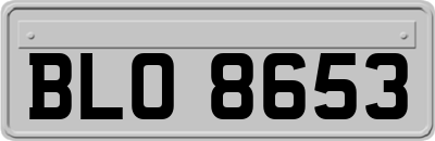 BLO8653