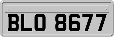 BLO8677