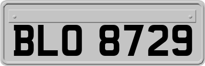 BLO8729