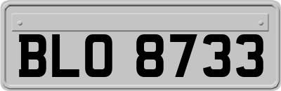 BLO8733