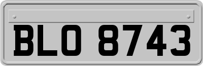 BLO8743