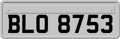 BLO8753