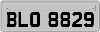 BLO8829