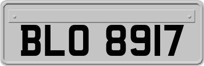BLO8917