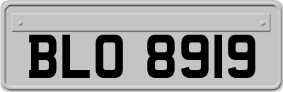BLO8919