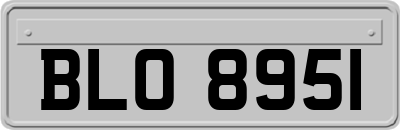 BLO8951