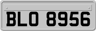 BLO8956
